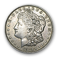 Morgan Dollar Coin